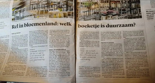 Voorbij de keurmerken: wat betekent échte duurzaamheid in bloemenland?