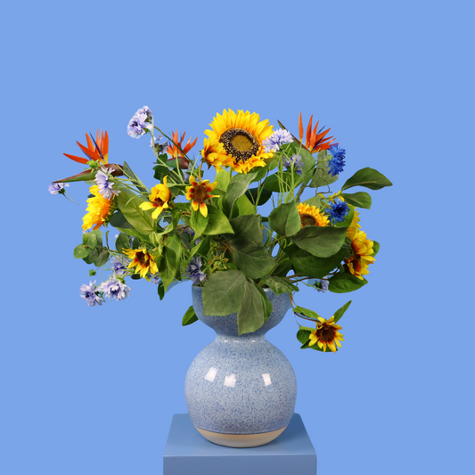 NPO Radio 1 - Spraakmakers KRONCRV - De vraag van de dag