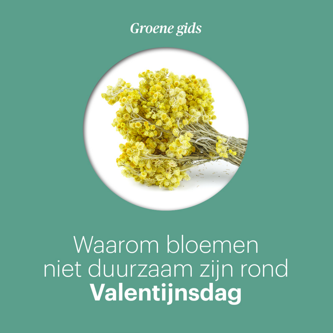 Trouw: Duurzame bloemen voor Valentijn