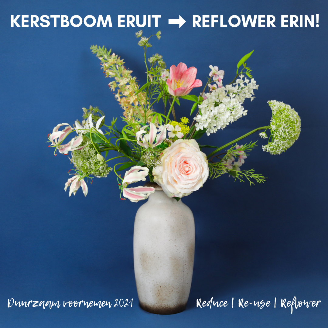 Kerstboom eruit --> Reflower erin