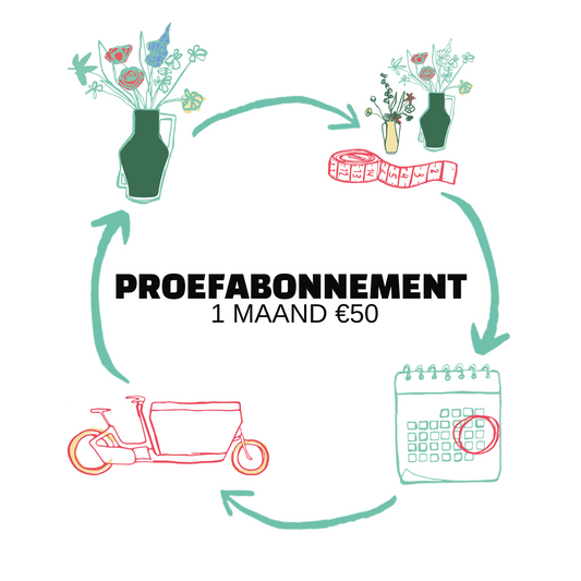 Ontdek Reflower: Beeldige blijvende bloemen in iedere ruimte