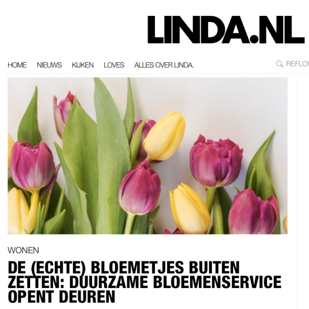 Goed Voornemen: blijvende bloemen in het nieuwe jaar | €15 per vaas | Kerstboom eruit? Reflower erin!