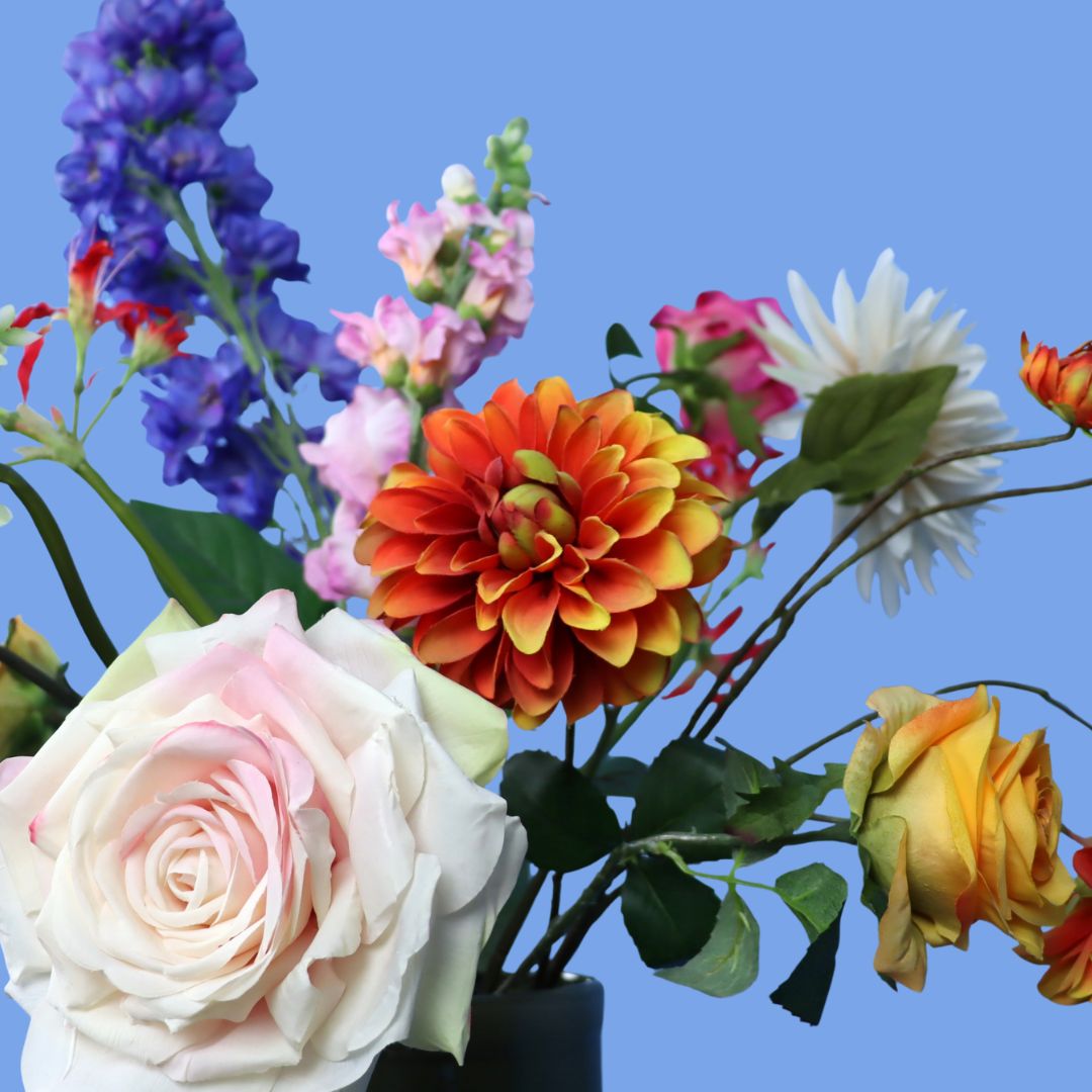 XL - Addy - Return to Sender vaas