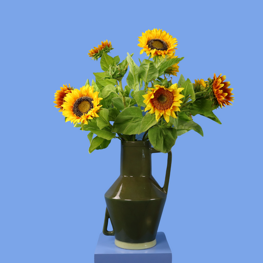 XL- Balou - Return to Sender