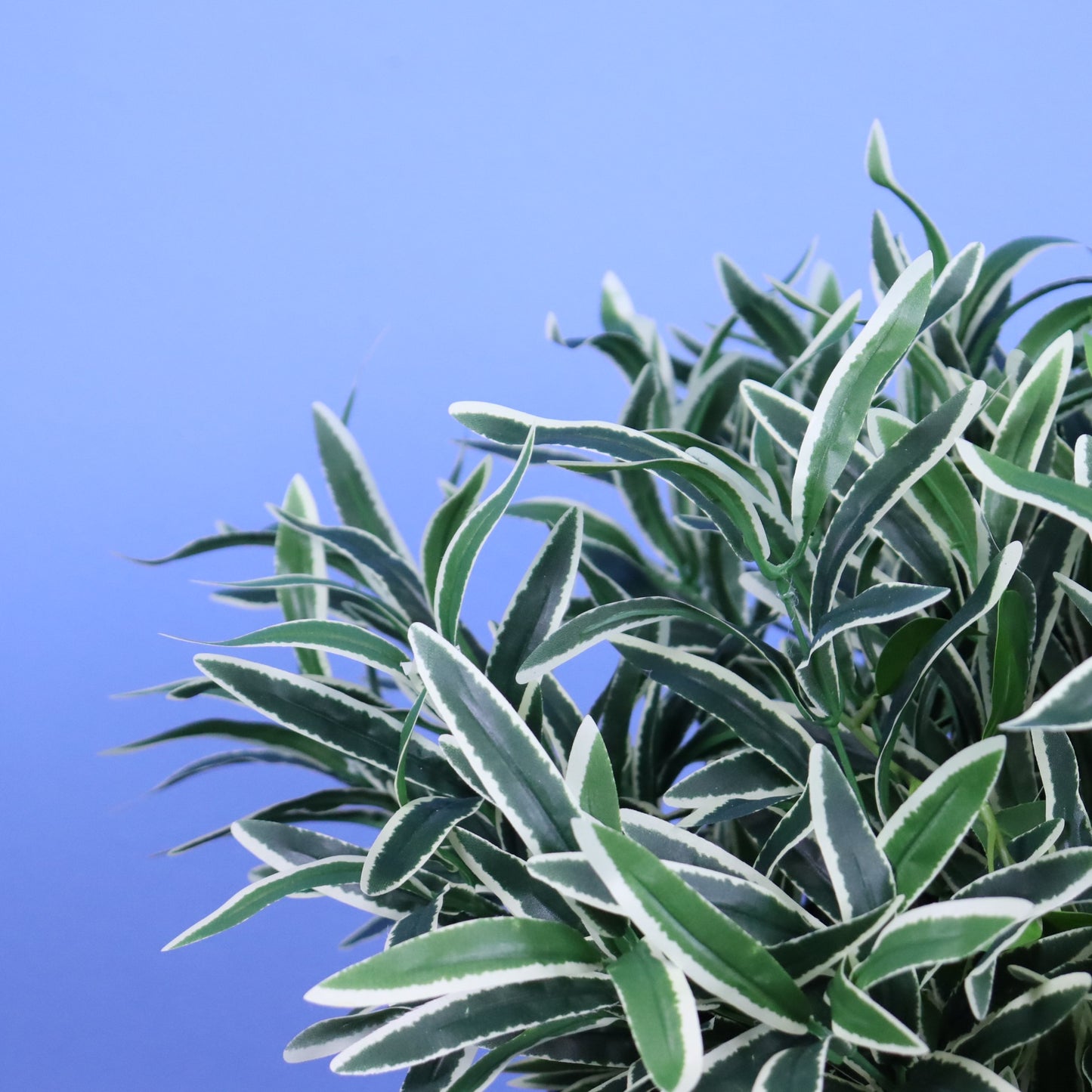 XL- Wellington - Witte plantenbak