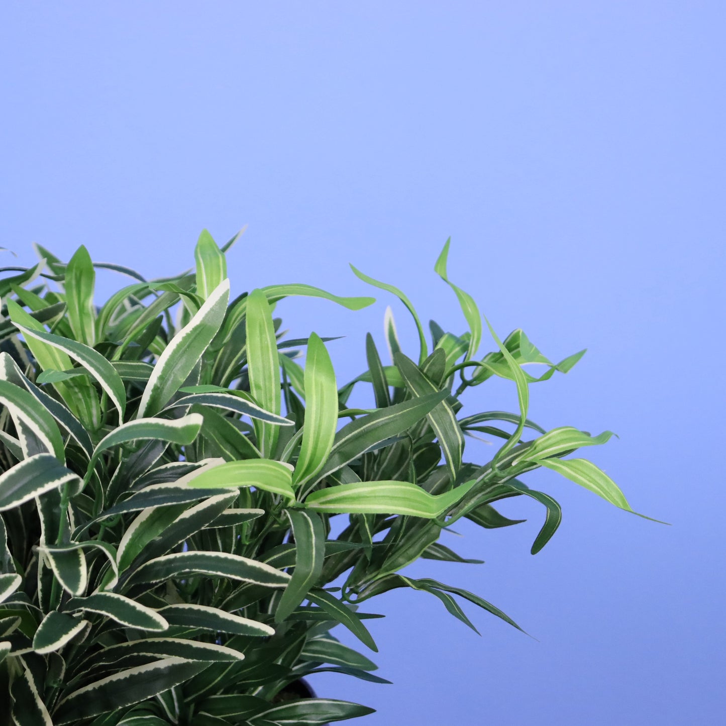 XL- Wellington - Witte plantenbak