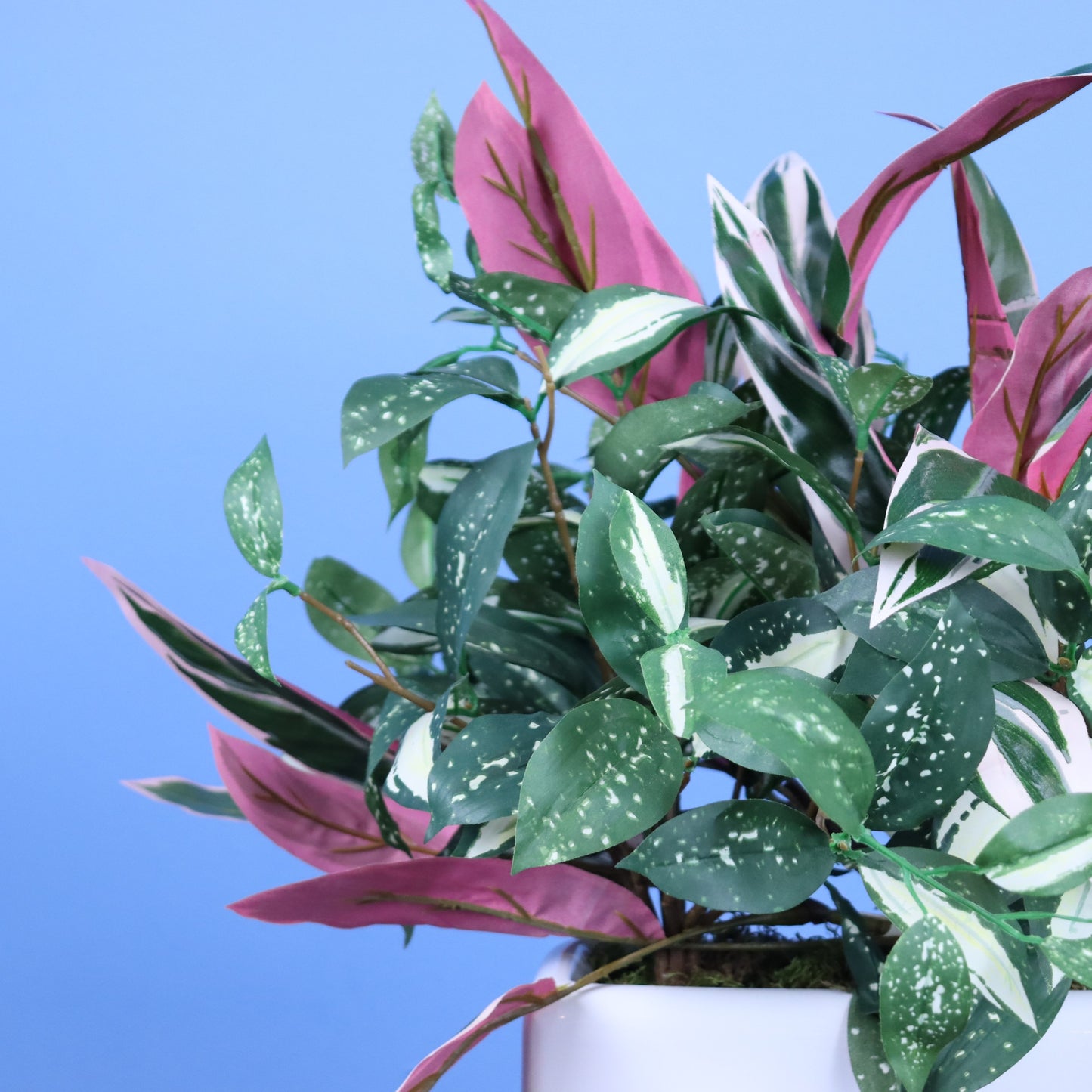 L- Phoenix - Witte plantenbak