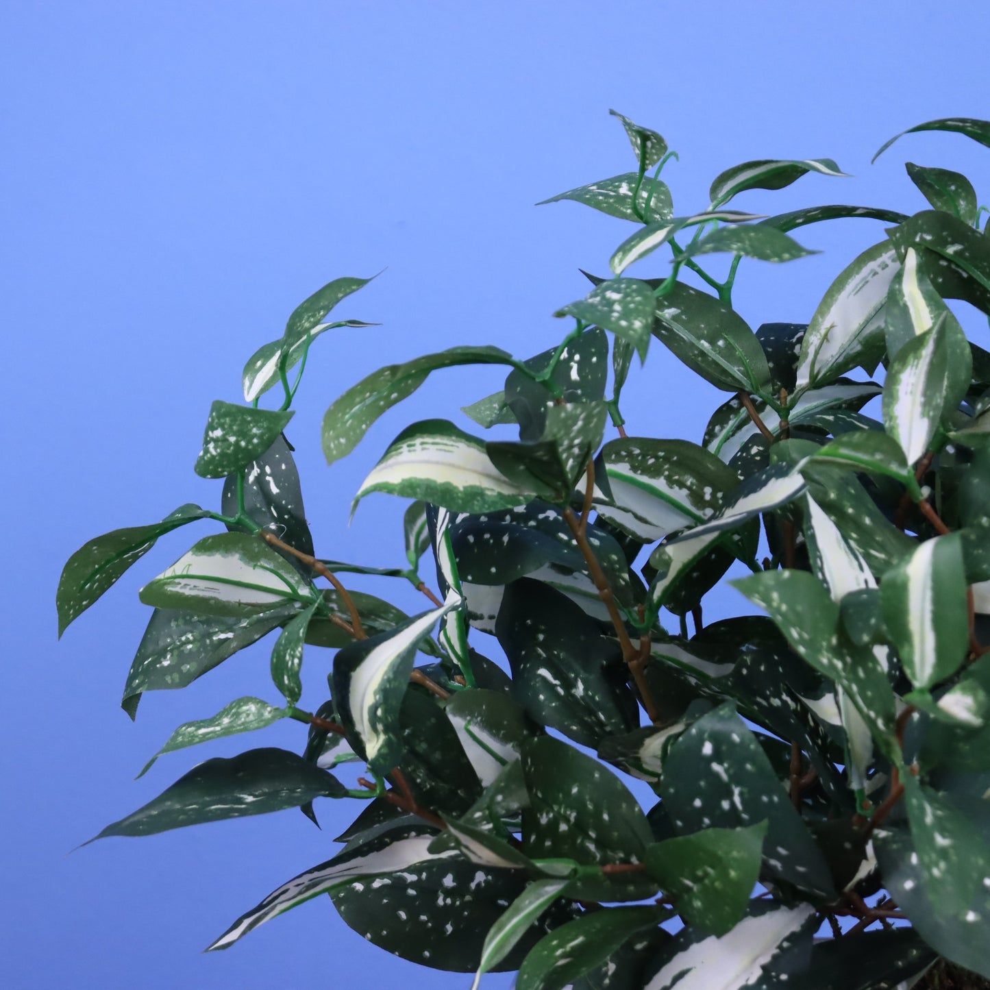 L - Austin - Witte plantenbak