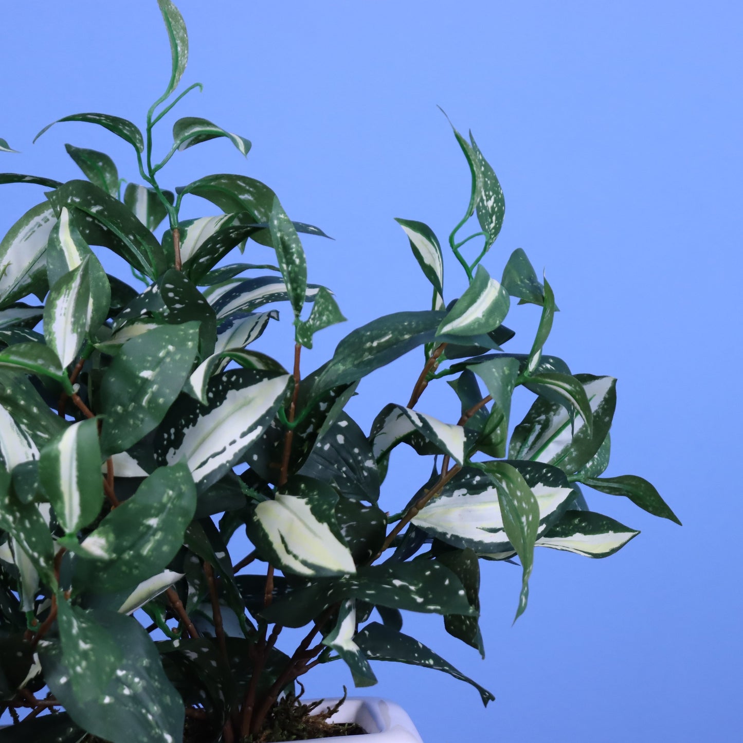 L - Austin - Witte plantenbak