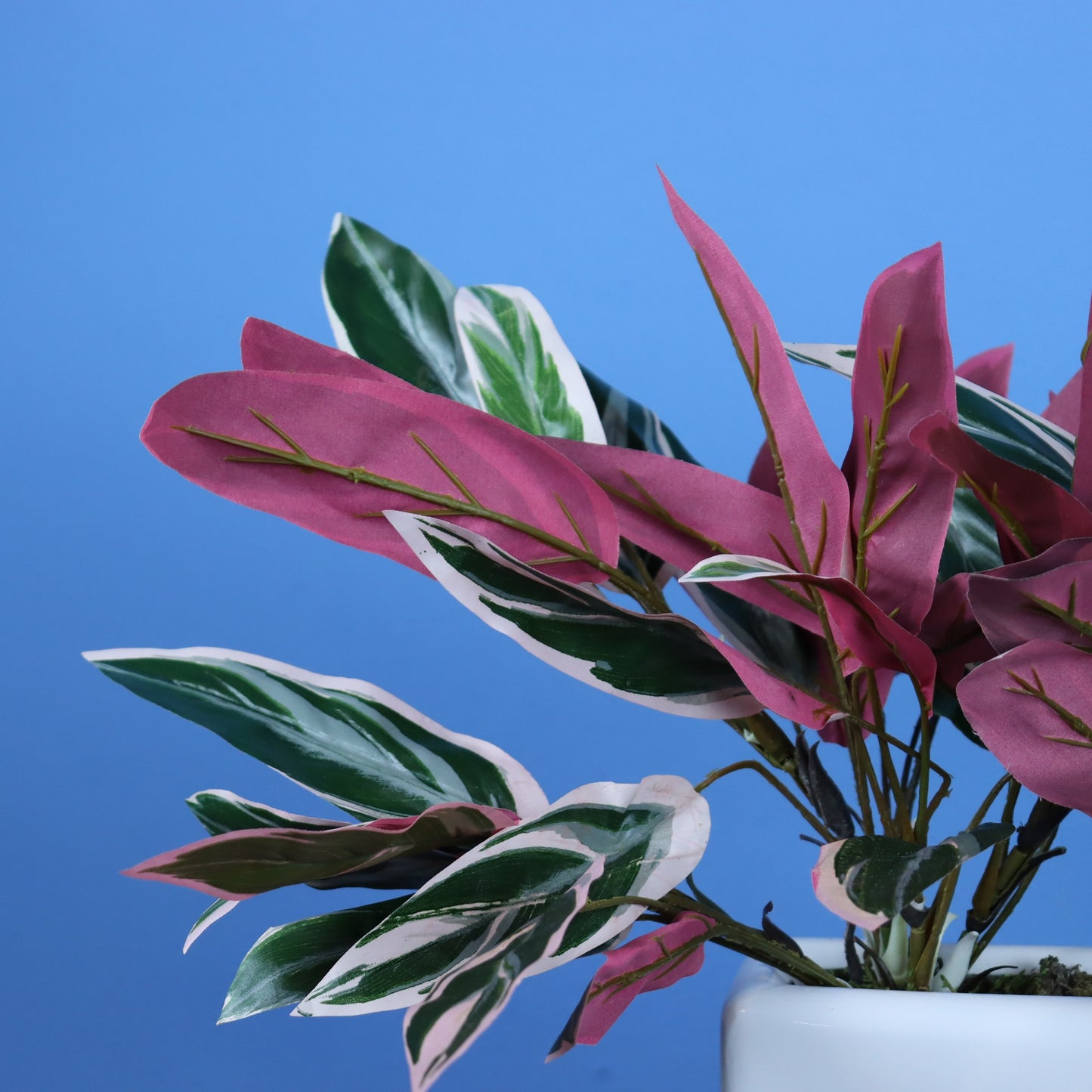 L- Portland - Witte plantenbak