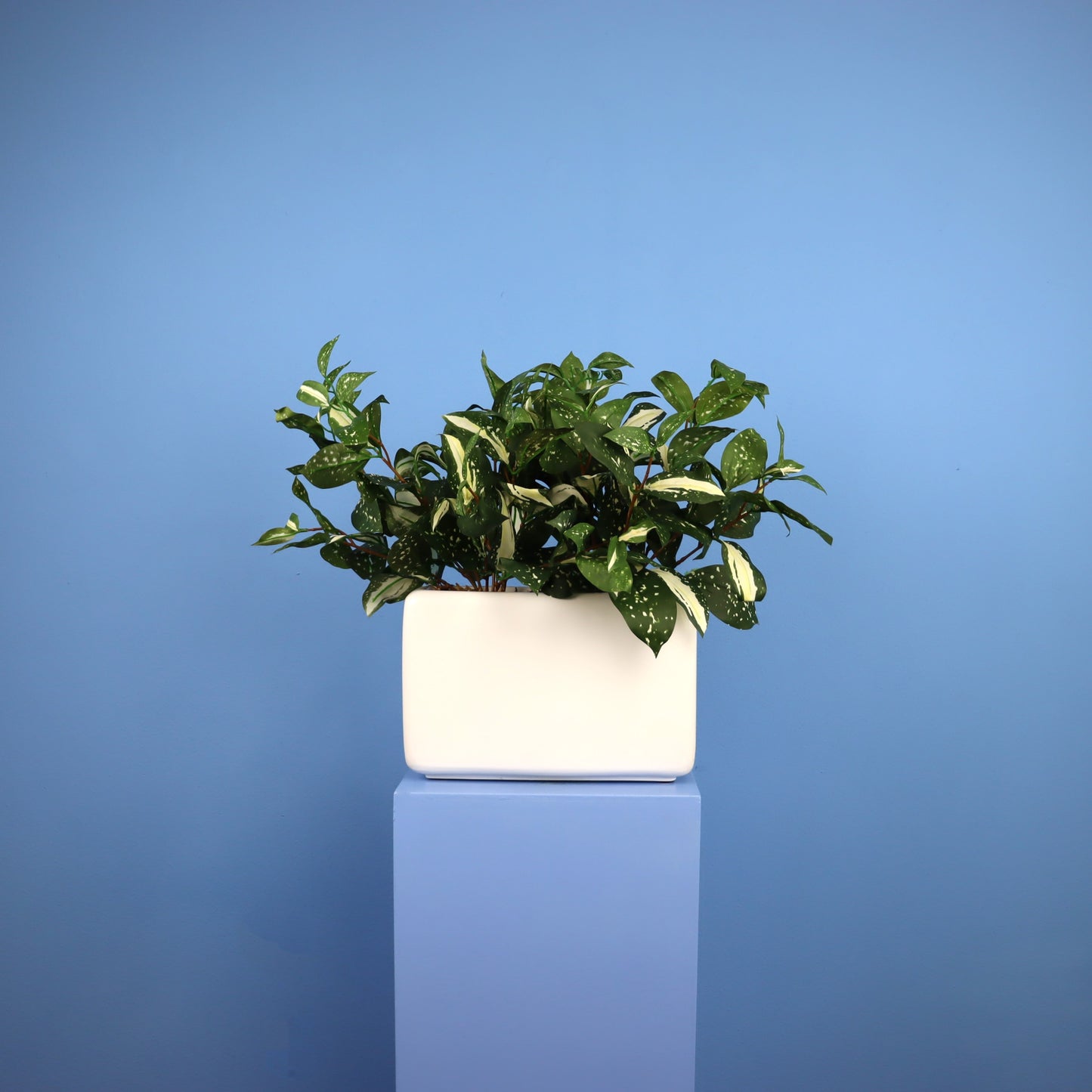 L - Austin - Witte plantenbak