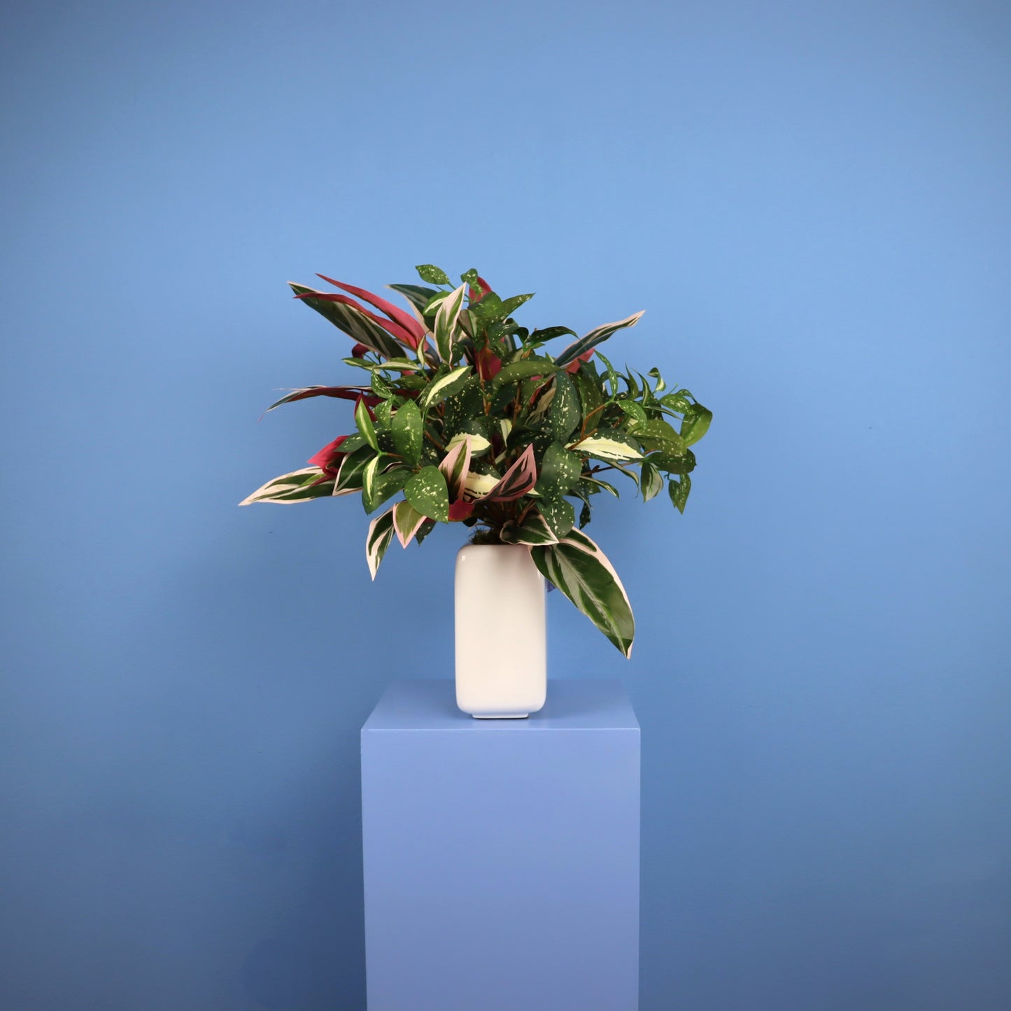 L- Phoenix - Witte plantenbak