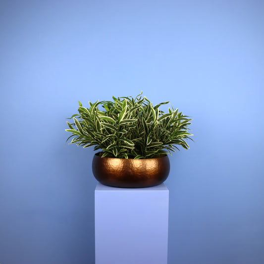 Witte plantenbak Wellington, maat XL – Reflower