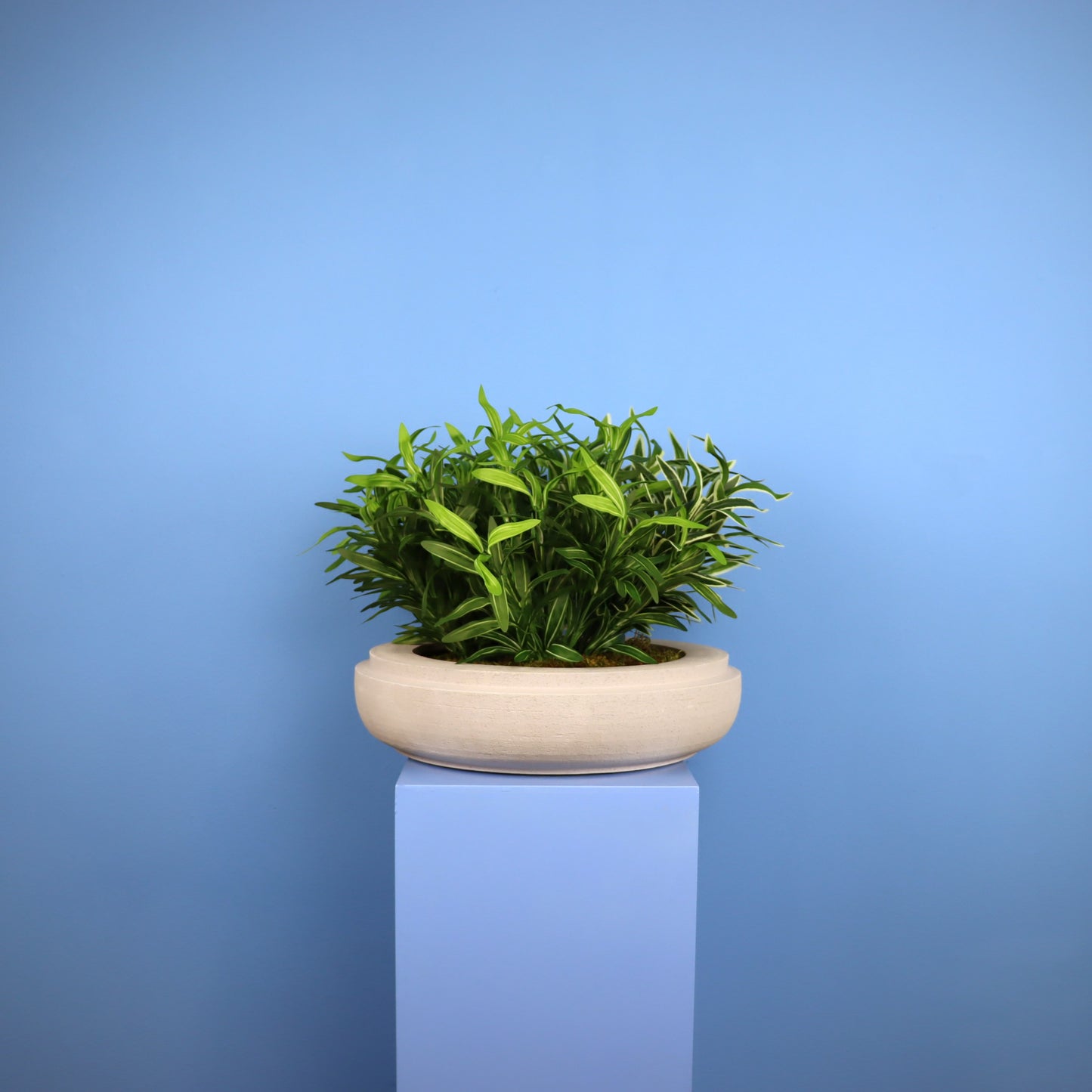 XL- Calgary - Witte plantenbak