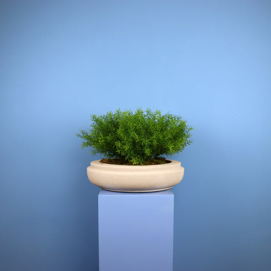 XL- Edmonton - Witte plantenbak