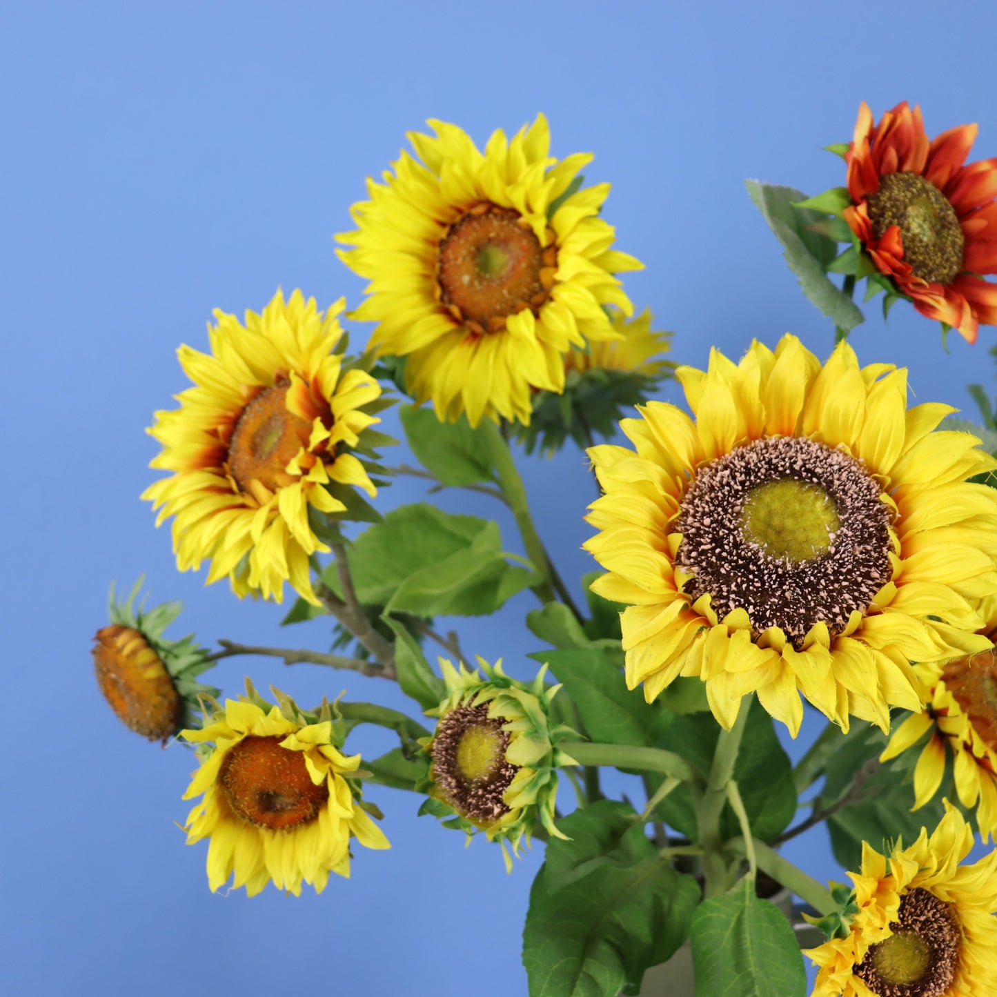 XL - Armin - Return to Sender vaas