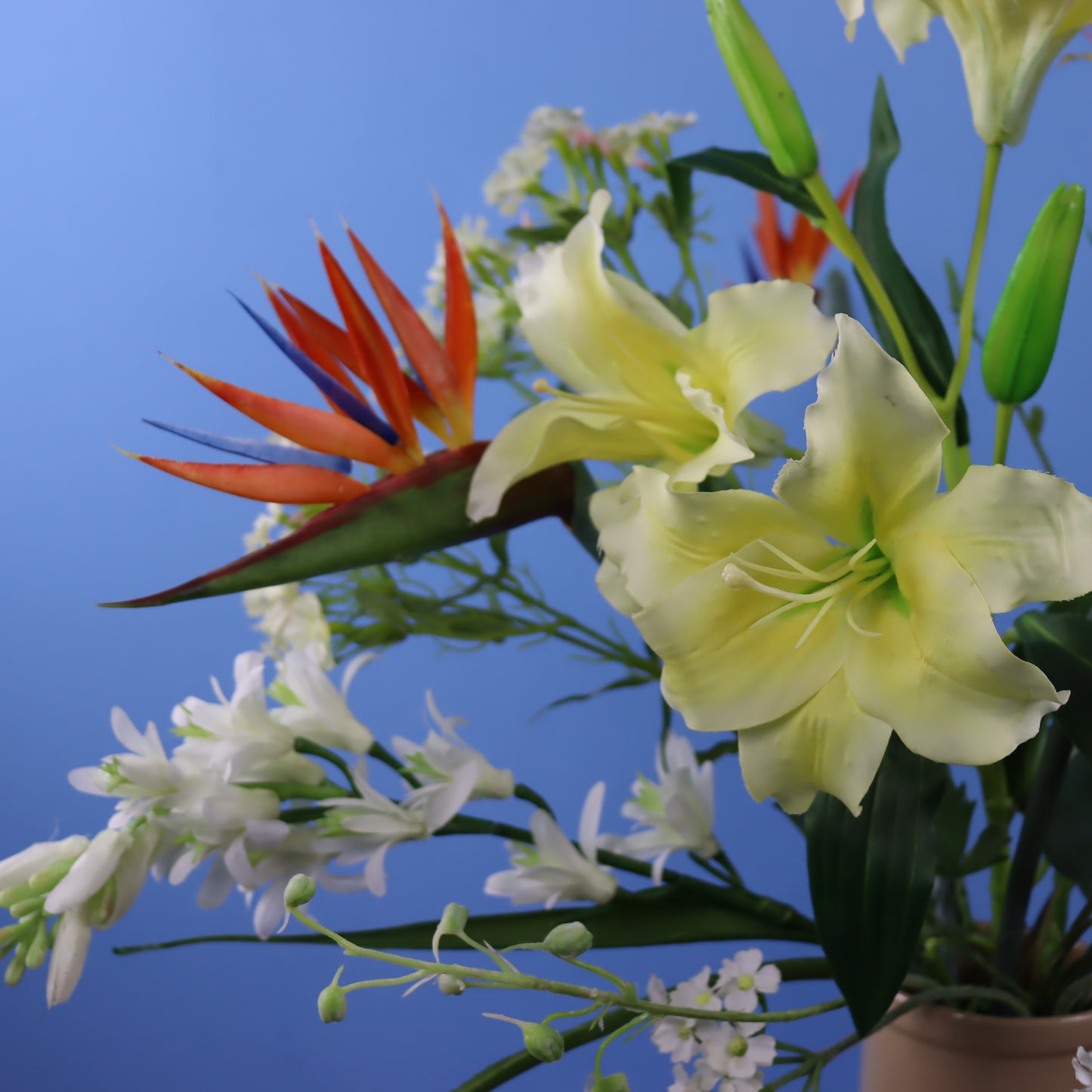 L - Lorraine- Return to Sender vaas