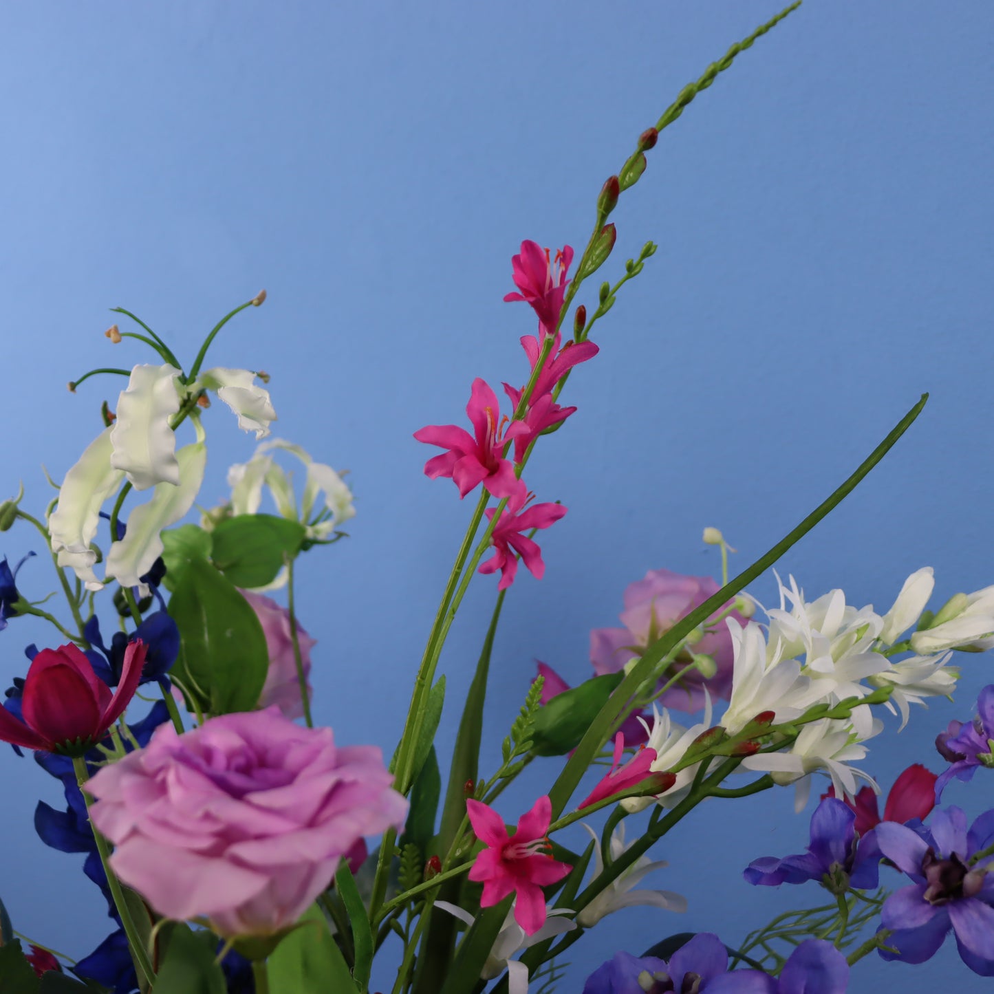 L - Meliz - Reliving vaas