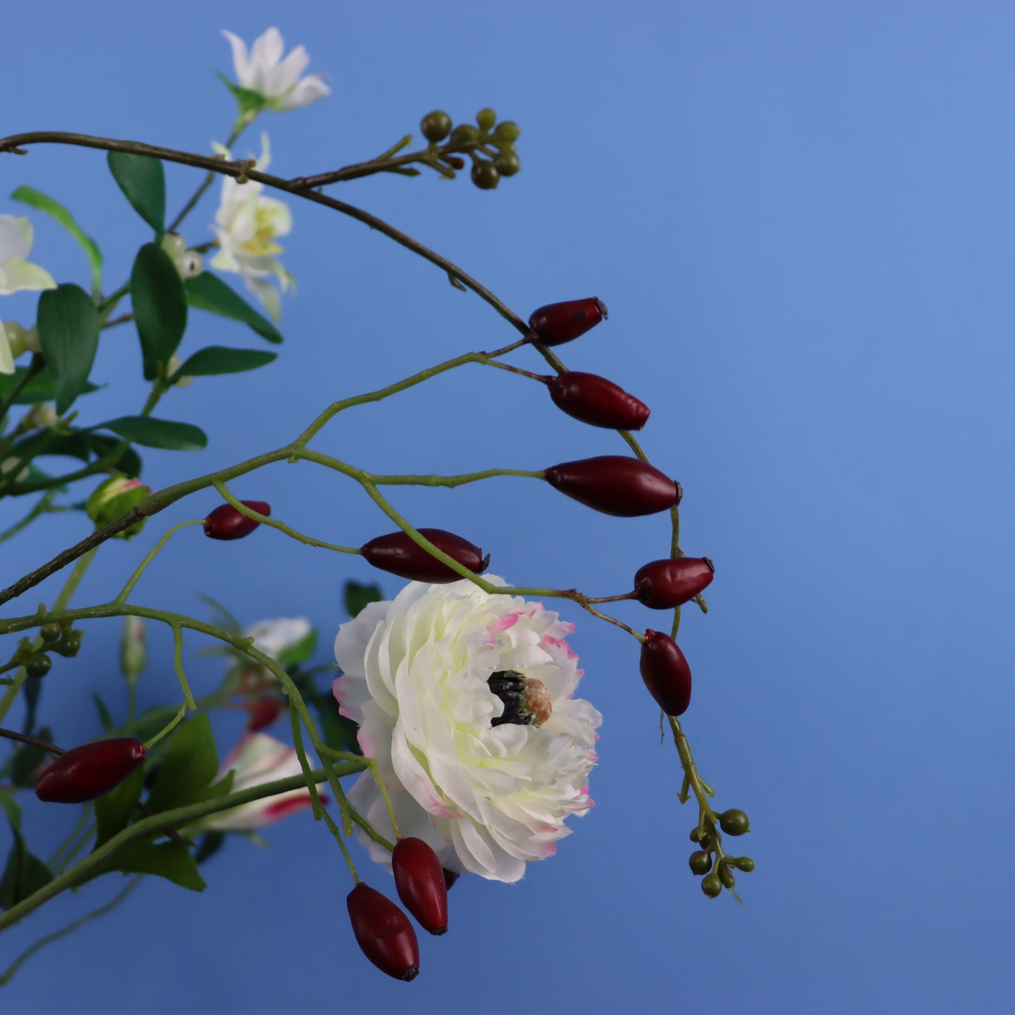 XL - Marnix - Return to Sender vaas