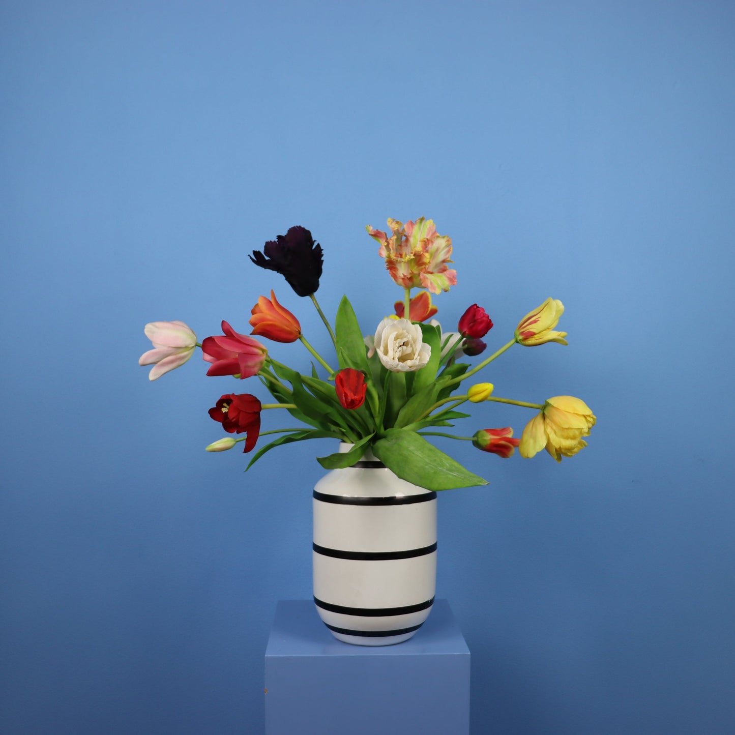 L - Renee - Kersten vaas