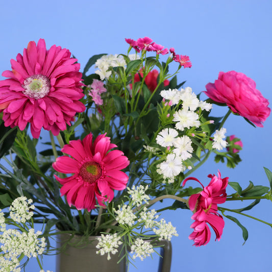 XL- Sef - Return to Sender