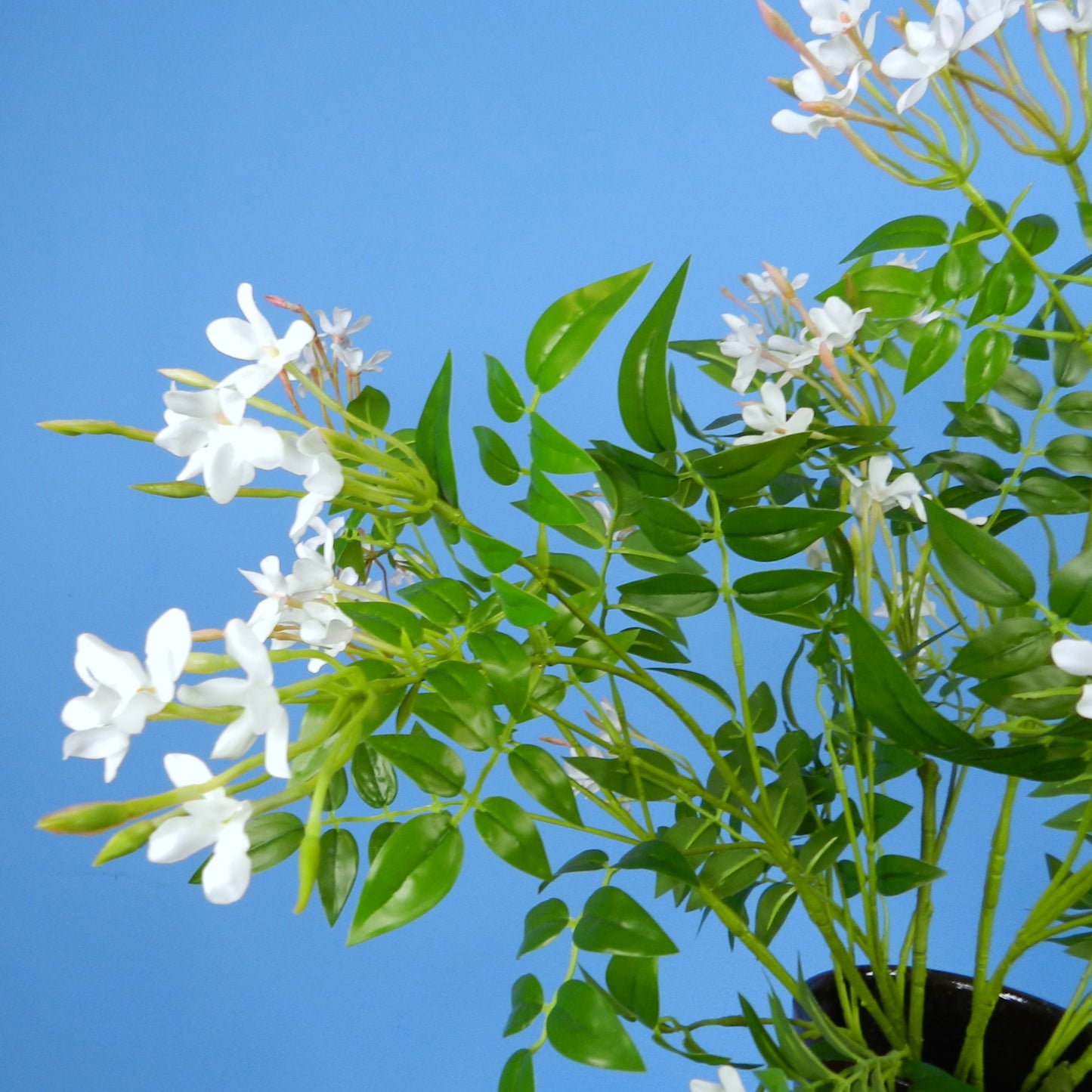 Kunstboeket Celeste in Serax vaas, maat XL – Reflower