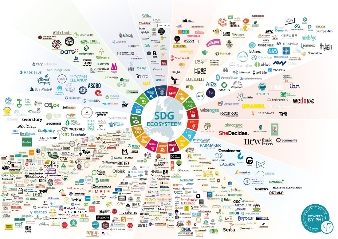 SDG 12 - Duurzame consumptie
