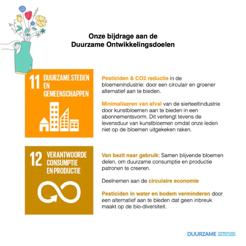 SDG - 11&12 - Reflower verandert en neemt actie
