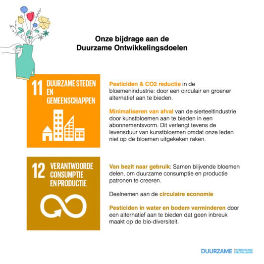 SDG - 11&12 - Reflower verandert en neemt actie