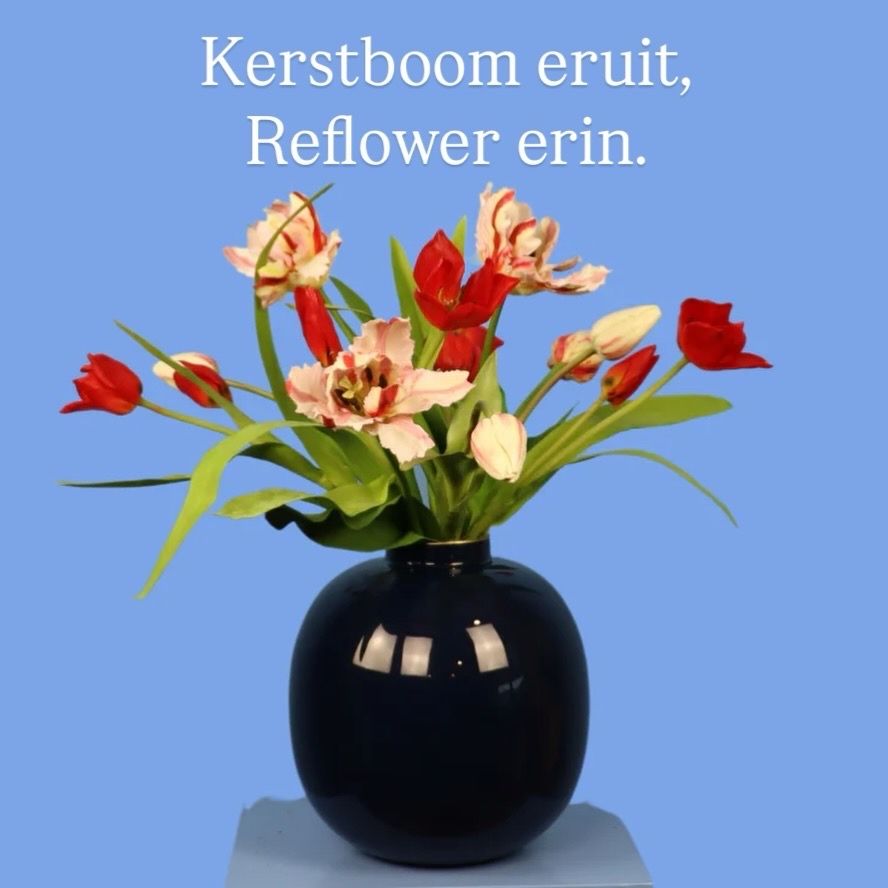 Kerstboom eruit? Reflower erin.