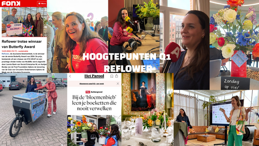 12 Hoogtepunten voor Reflower uit Q1