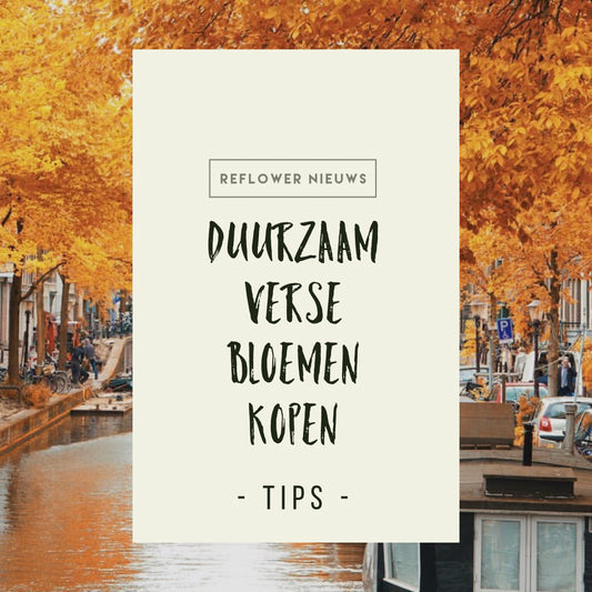 duurzaam verse bloemen kopen