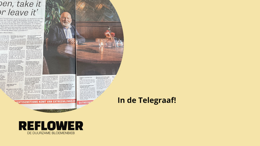 Reflower in de Telegraaf