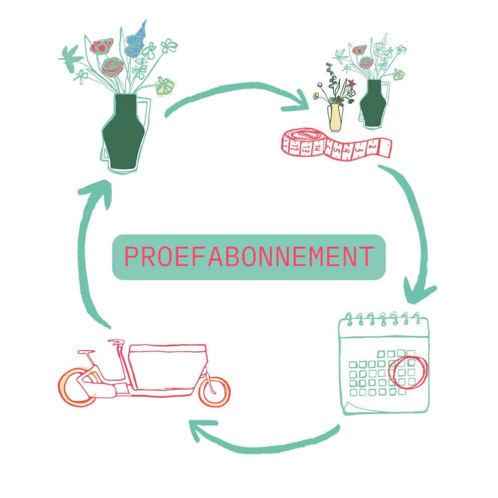 Nieuw: Het Reflower Proefabonnement