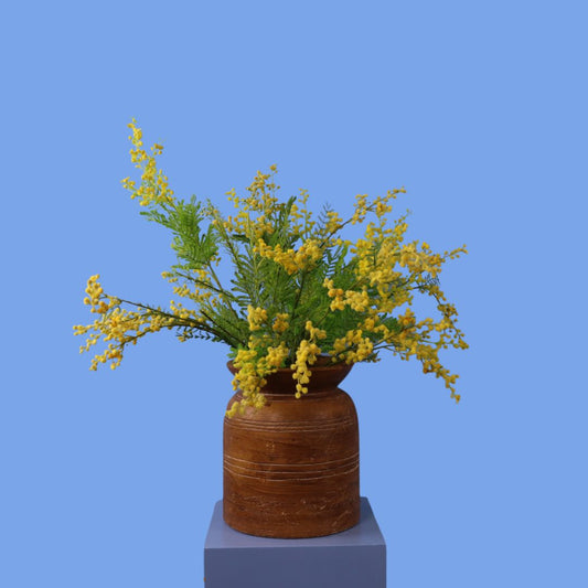 XL - Rive - Stenen pot