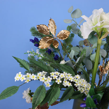 XL - Tobi - Return to Sender vaas