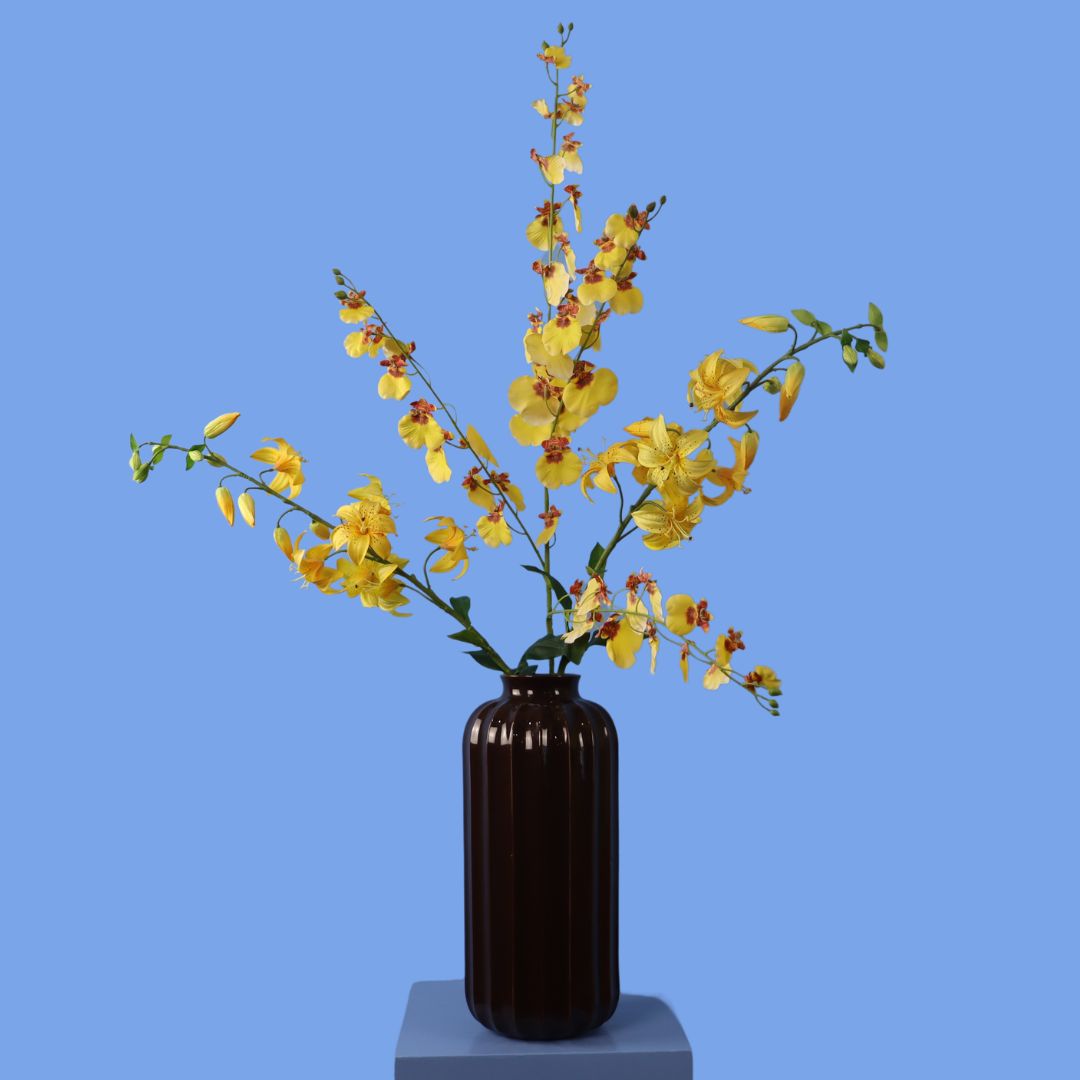 XL - Alberto - Sissy Boy vaas