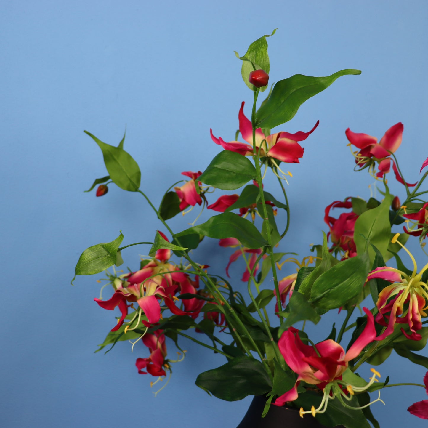 L - Rozan- Zwarte vintage vaas