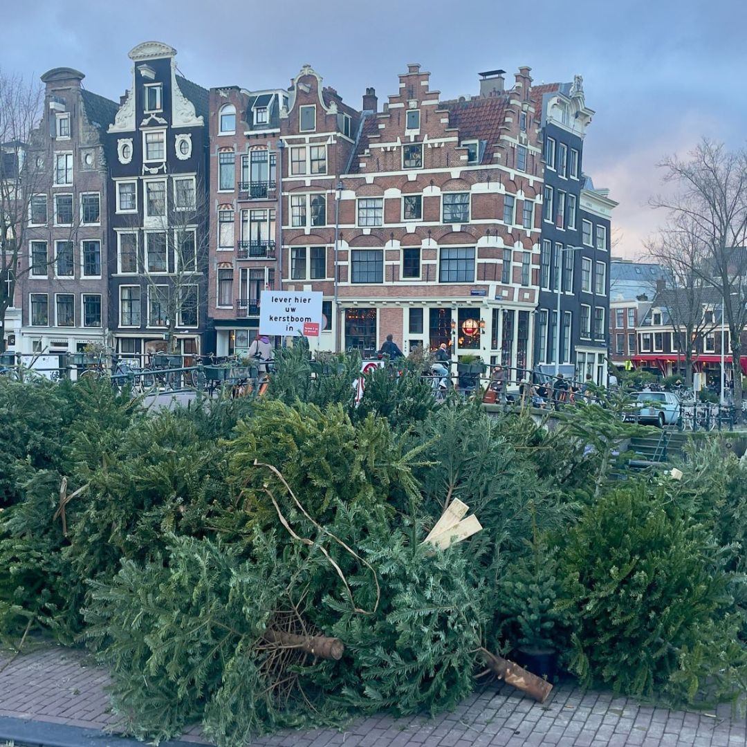 Goed Voornemen: blijvende bloemen in het nieuwe jaar | €15 per vaas | Kerstboom eruit? Reflower erin!