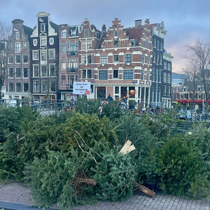 Goed Voornemen: blijvende bloemen in het nieuwe jaar | €15 per vaas | Kerstboom eruit? Reflower erin!