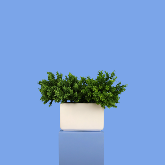 L - Brisbane - Witte plantenbak