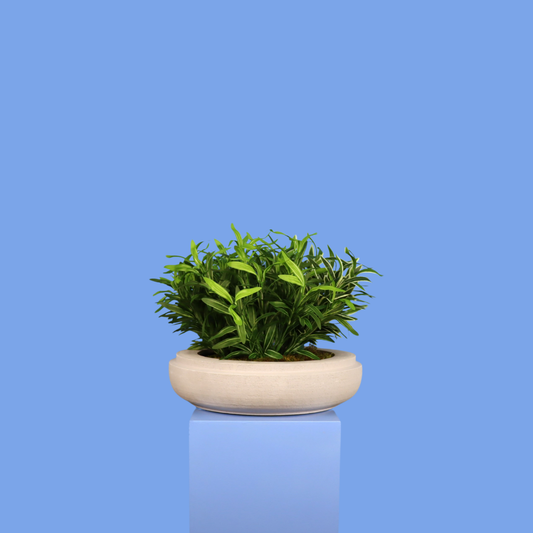 XL- Calgary - Witte plantenbak