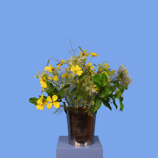 L - Carmen - Wijnkoeler