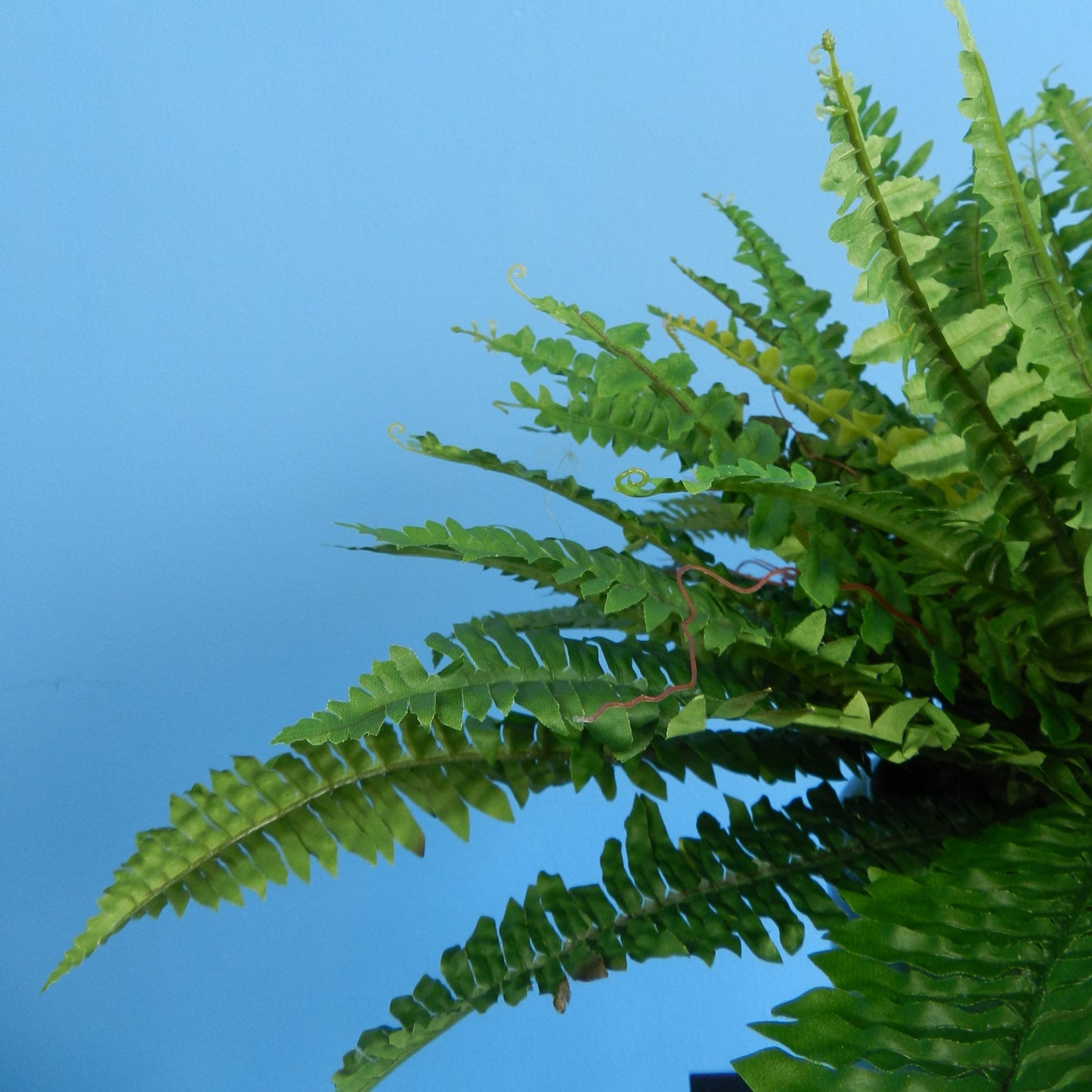 XL- Wenen - Serax plantenbak
