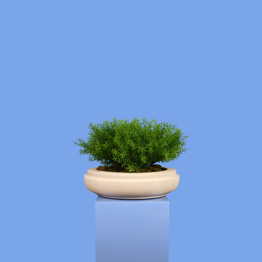 XL- Edmonton - Witte plantenbak