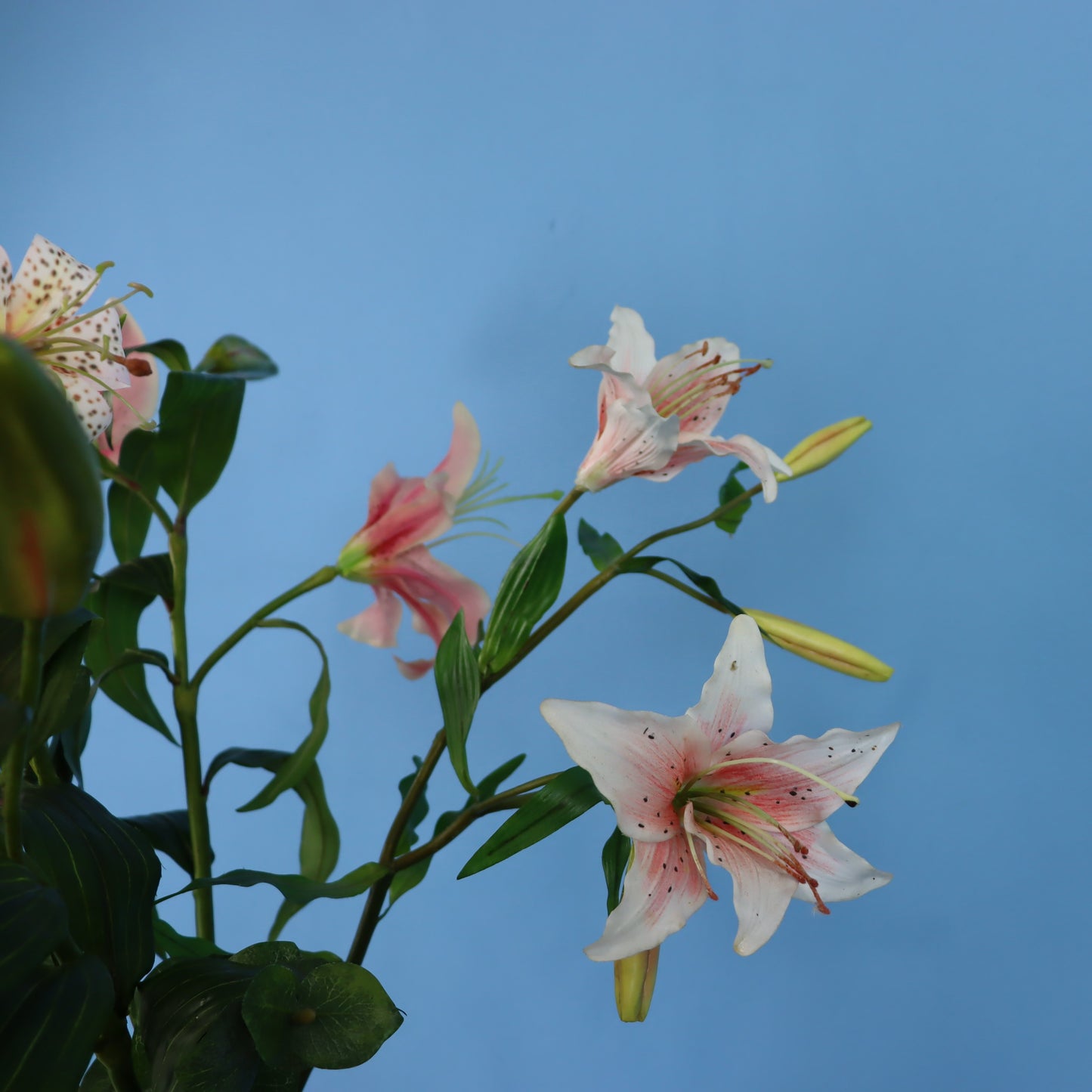 L - Fae - Pip Studio vaas