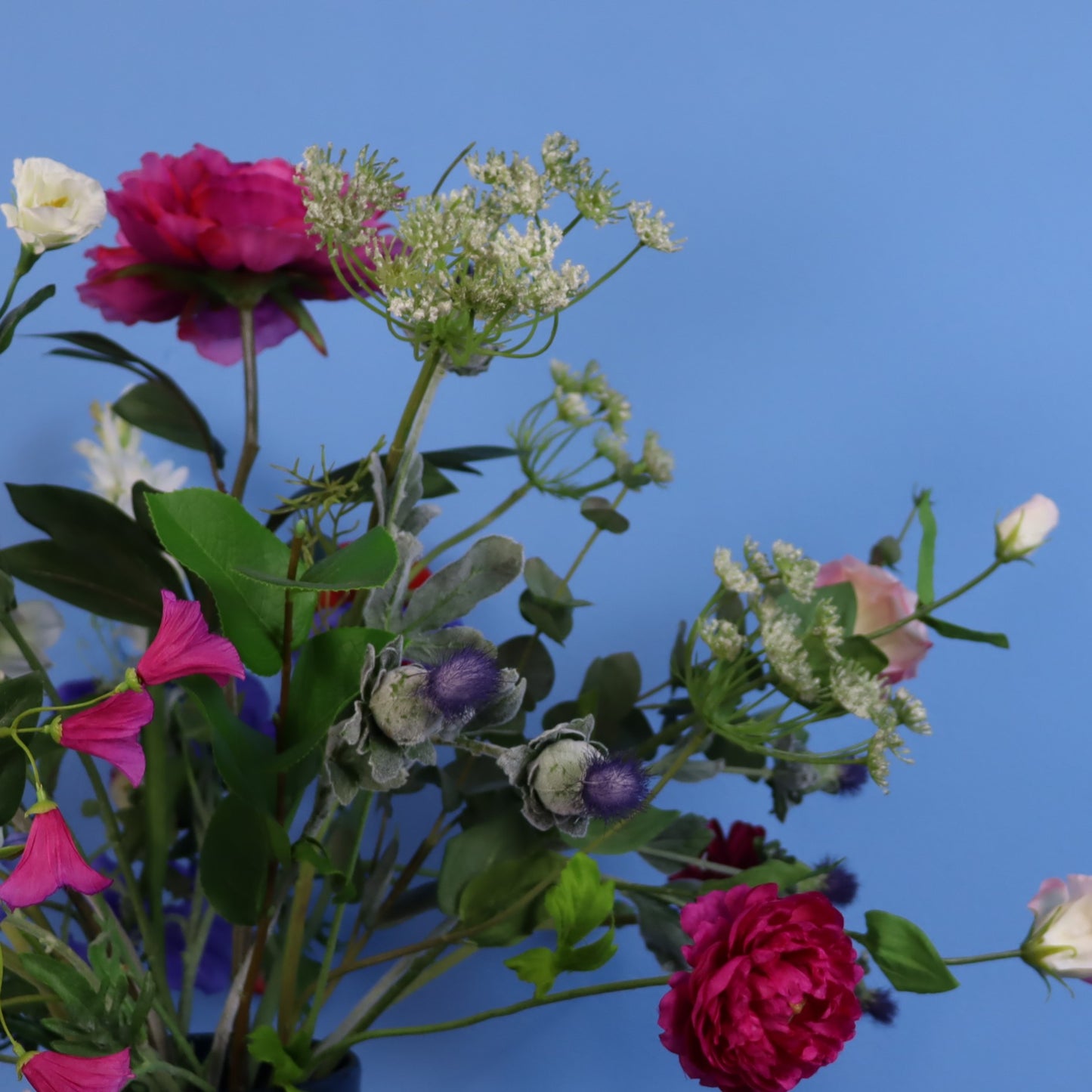 XL - Katrina - Return to Sender vaas