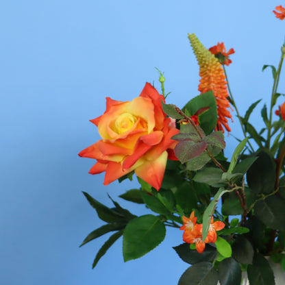 L - Cherise - Return to Sender vaas