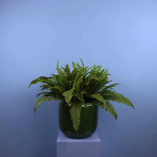 XL- Wenen - Serax plantenbak