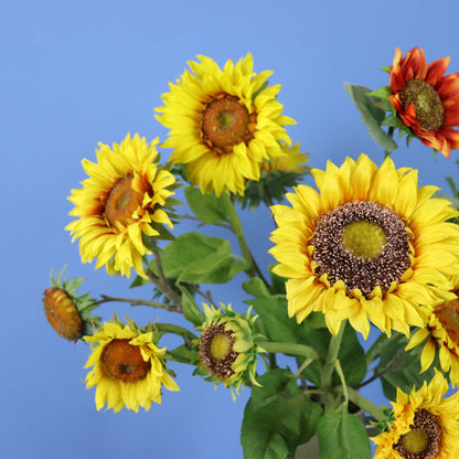 XL - Armin - Return to Sender vaas